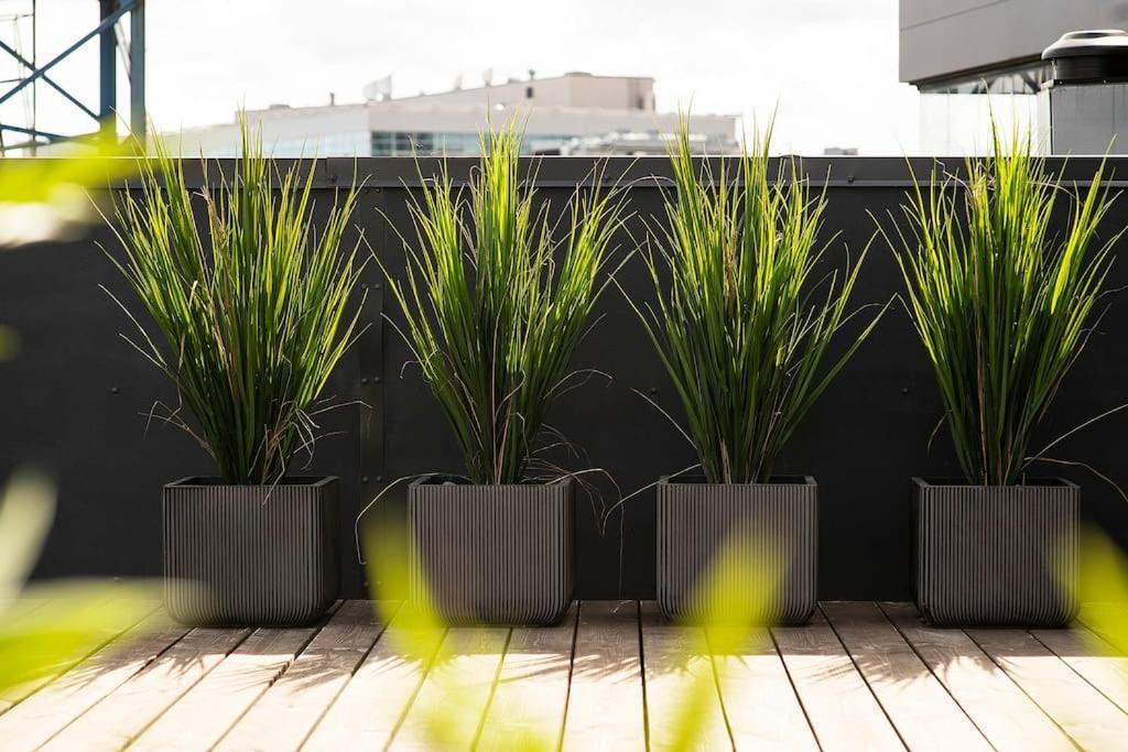 W Apartments Uus-Hollandi With Sauna Tallinn Eksteriør bilde